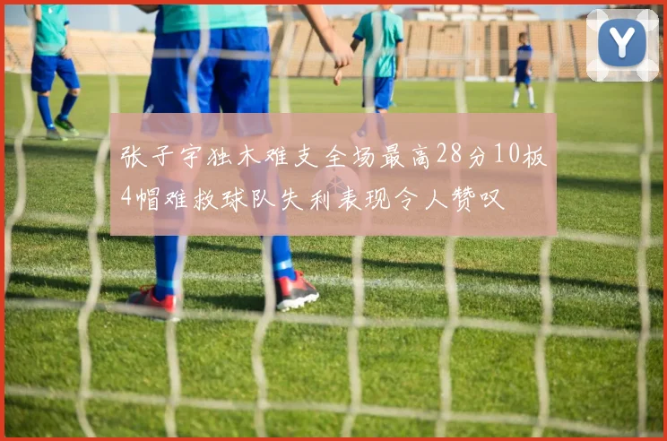 张子宇独木难支全场最高28分10板4帽难救球队失利表现令人赞叹